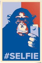 Poster Selfie Monkey