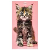 Cal 2022- Kittens 2-Year Small Monthly Planner