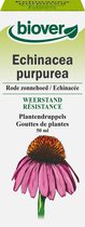 Biover Echinacea purpurea – Weerstand – Vegan biologische plantendruppels met echinacea - 50 ml