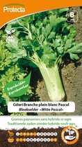 Protecta Groente zaden: Bleekselderij Witte Pascal