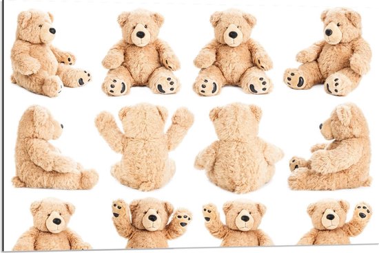 Dibond - Teddybeer in Verschillende Posities - 90x60cm Foto op Aluminium (Wanddecoratie van metaal)