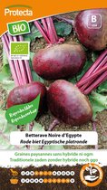 Protecta Groente zaden: Rode biet Egyptische platronde Biologisch