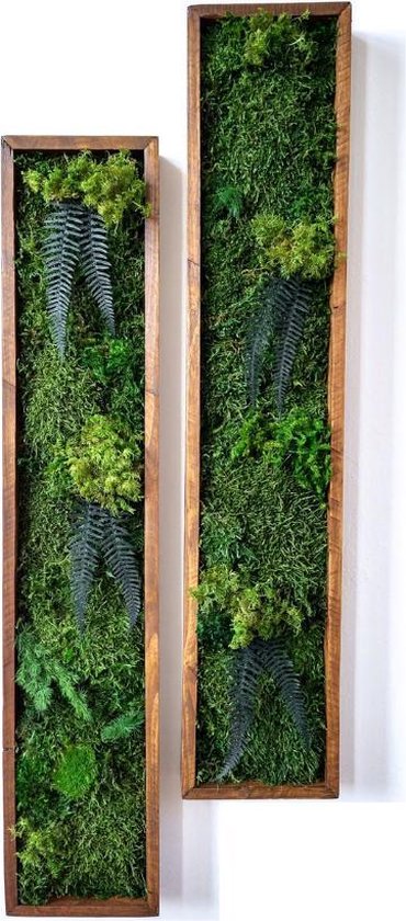 Moskabouter Verticaal Plantenschilderij met mos en varens | 80 x 16 cm | Warm eikenbeits