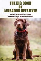 The Big Book Of Labrador Retriever: Things You Need To Know At Each Stage Of Development