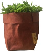 de Zaktus - cactus - hoya kerii - hartjes plant - UASHMAMA® paperbag oranje goud - Maat S