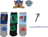 PAW Patrol Sokken | 3 Paar | Jongens | Maat 23-26 | Met Gratis Pen!