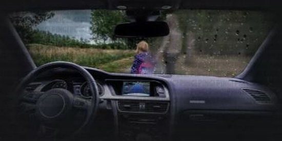 Pingi Herbruikbare Auto-ontvochtiger – Duopack 2x350g – Voorkomt Condens – Eenvoudig Te Drogen