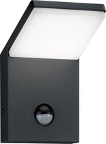 LED Tuinverlichting - Tuinlamp - Iona Pearly - Wand - Bewegingssensor - 9W - Mat Zwart - Aluminium