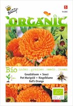 Buzzy® Organic Goudsbloem Orange Ball's  (BIO)