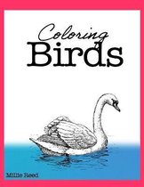 Coloring Birds