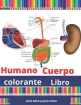 Humano Cuerpo colorante libro