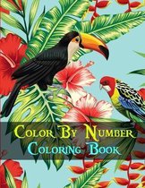 Color By Number Coloring Book