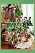 Houseplants for Beginners: How to style and care for beautiful plants