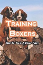 Training Boxers: How To Train A Boxer Puppy