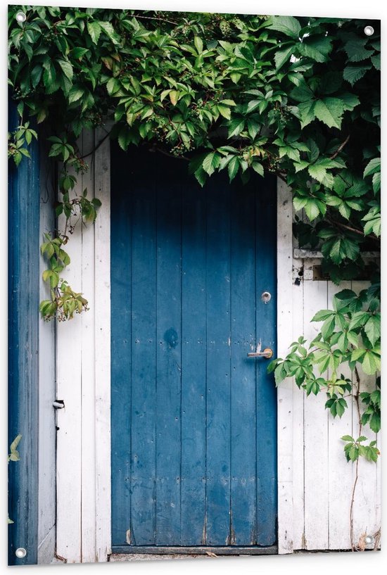 Tuinposter – Blauwe Deur Tussen de Planten - 80x120cm Foto op Tuinposter  (wanddecoratie voor buiten en binnen)