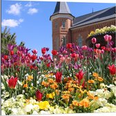 Dibond - Mooi Veld met Gekleurde Bloemen met een Mooi Kasteel op de Achtergrond - 80x80cm Foto op Aluminium (Met Ophangsysteem)