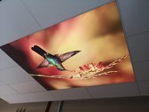 Prolutix | Wolken Plafond | 180×180 | 45mm | Textiel LED Fotoframe