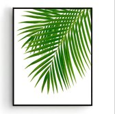 Poster Palmboom blad Rechts - Tropisch Blad - Planten Poster - Muurdecoratie - 50x40cm - PosterCity