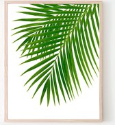 Poster Palmboom blad Rechts - Tropisch Blad - Planten Poster - Muurdecoratie - 40x30cm - PosterCity