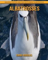 Albatrosses