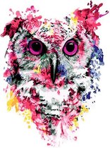 Schilderen op nummer - felgekleurde uil - 40x50 cm - Met frame - Inclusief tools - Paint by number - Volwassenen - Kinderen