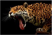 Gapende luipaard op canvas – 70 x 50 cm – Wanddecoratie – Wilde dieren – Panter – Mystic Leopard