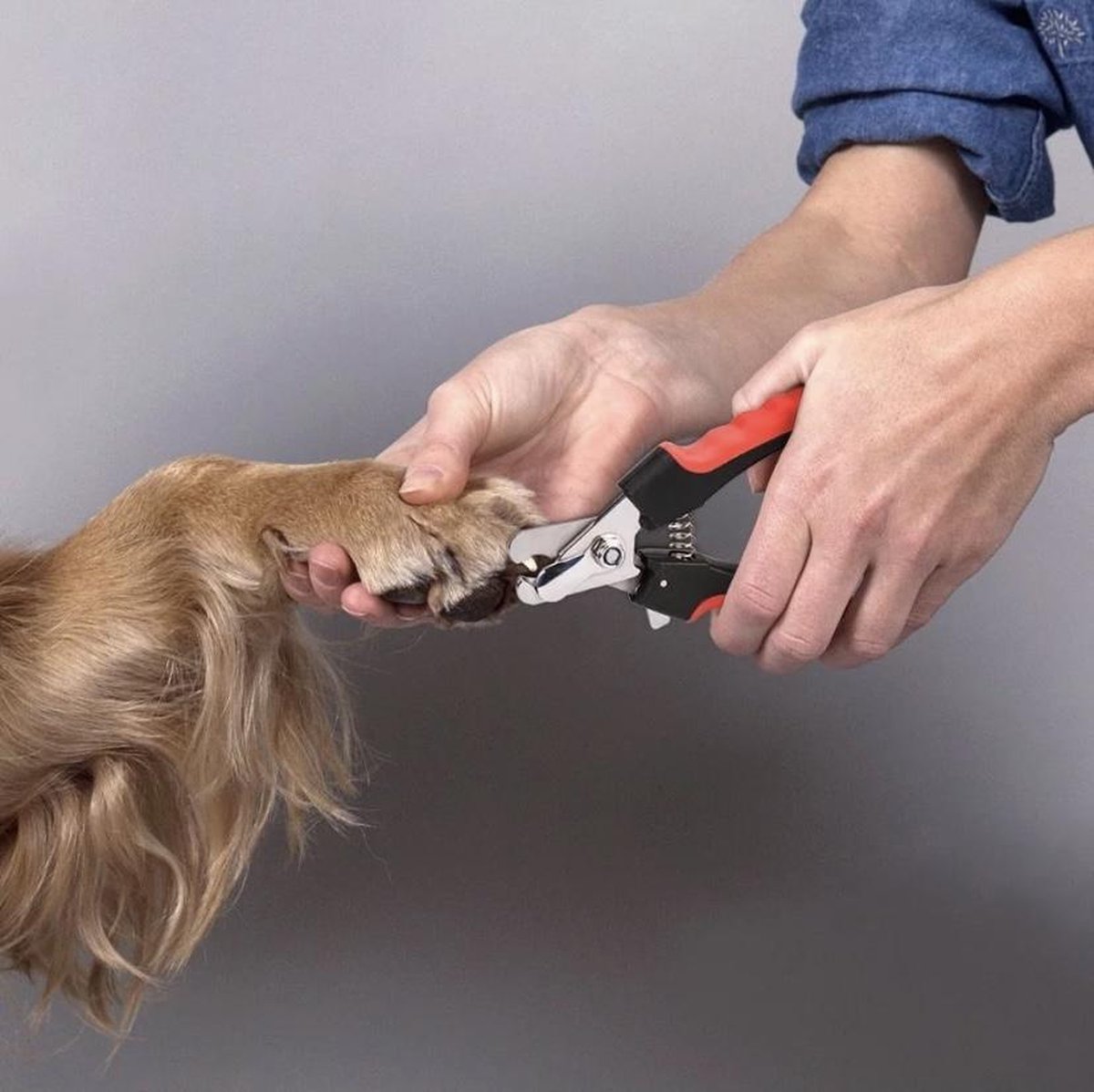 Nagelknipper Hond - Huisdier - Dier - Kat - Nageltang - Nagelschaar - Nagels Knippen Hond - Dierennagel Knipper - Merkloos