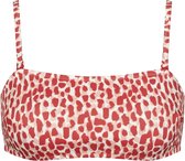 Sloggi Shore - Koh Tachai - Bandeau Top