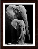 Foto in frame , Moeder Olifant met jong , 3 maten , Zwart wit , wanddecoratie , Premium print