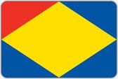 Vlag Brouwershaven - 200 x 300 cm - Polyester