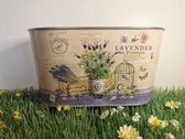Metalen plantenbakje Kruidenbakje bedrukt met landelijke print  Lavendel La Provence 22,5x11,5x12cm