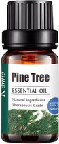 Dennenboom Olie - Etherische Olie - 100% - Etherische Olie Diffuser - Etherische Olie Dennenboom (Pinetree)