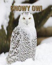 Snowy owl