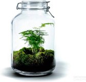 DIY Duurzame Flestuin: Jar Large – Asparagus