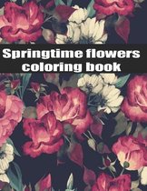 Springtime Flowers coloring book