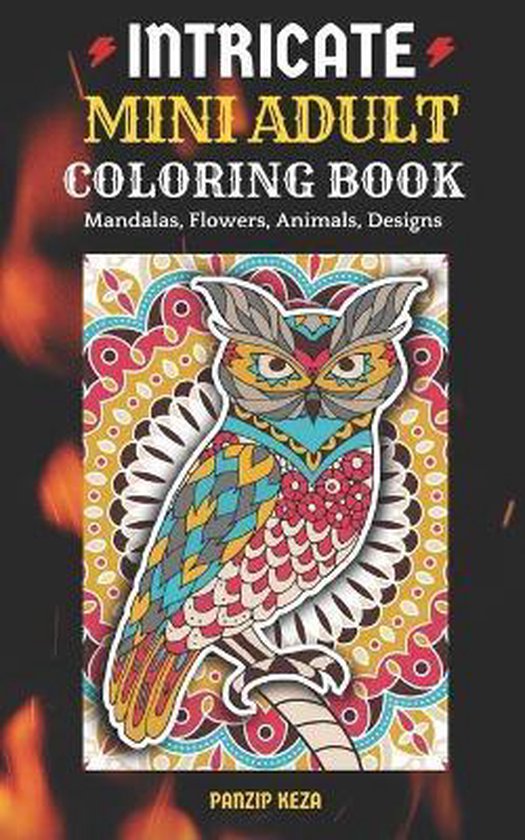 Intricate Mini Adult Coloring Book - cover