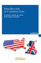 Gestión de despachos - Introducción al Common Law