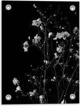 Tuinposter – Zwart - Wit Foto van Bloementak - 30x40cm Foto op Tuinposter  (wanddecoratie voor buiten en binnen)