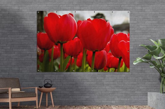 Gros plan de tulipes rouges Affiche de jardin 180x120 cm - Toile de jardin / Toile d'extérieur / Peintures d'extérieur (décoration de jardin) XXL / Groot format!