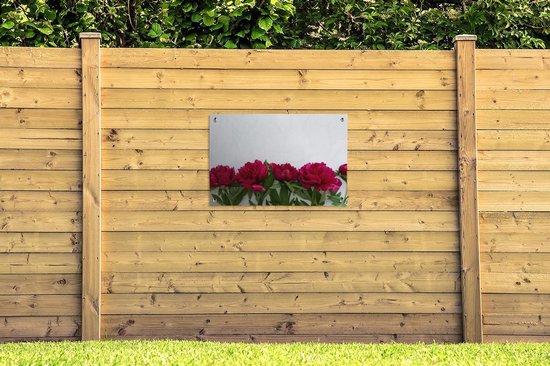 Affiche de jardin Rangée avec pivoines rouges 90x60 cm - Toile de jardin / Toile d'extérieur / Peintures d'extérieur (décoration de jardin)
