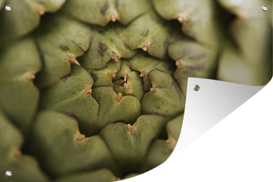 Notre Top 10 Des Artichaut Artificiel Au France - Black