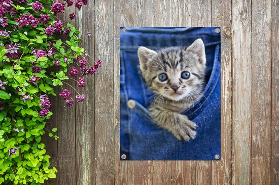 Tuinposter 30x40 cm - Tuindecoratie Een kitten in een denim jeans - Poster voor in de tuin - Buiten decoratie - Schutting tuinschilderij - Tuindoek muurdecoratie - Wanddecoratie balkondoek