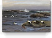 Eider op rotsen - Bruno Liljefors - 30 x 19,5 cm - Niet van echt te onderscheiden schilderijtje op hout - Mooier dan een print op canvas - Laqueprint.