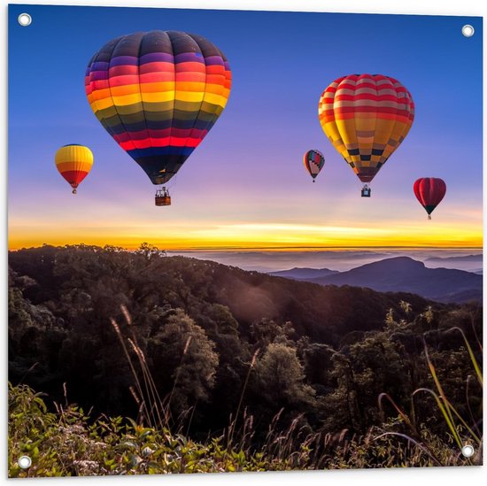 Tuinposter – Regenboogkleurige Luchtballonnen boven Berggebied - 80x80cm Foto op Tuinposter  (wanddecoratie voor buiten en binnen)
