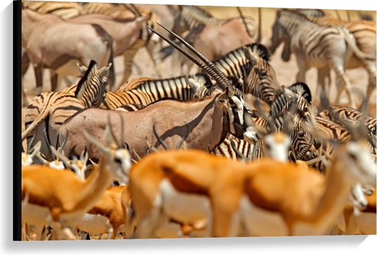 Canvas  - Troep van Verschillende Dieren in Afrika - 90x60cm Foto op Canvas Schilderij (Wanddecoratie op Canvas)
