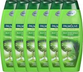 6x Palmolive Shampoo – Silky Shine Effect (Aloe Vera)