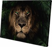 Canvasdoek - Schilderij - Leeuw In De Jungle Green Lion Natuur - Multicolor - 100 X 150 Cm