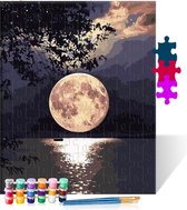 Volle maan - Puzzel Schilderen op nummer - Houten puzzel - 500 stukjes - 38x52 cm