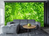 Professioneel Fotobehang Dichtbegroeide groene bladeren - groen - Sticky Decoration - fotobehang - decoratie - woonaccesoires - inclusief gratis hobbymesje - 385 cm breed x 260 cm hoog - in 7