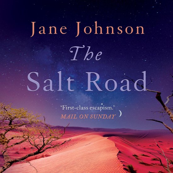 The Salt Road - cover